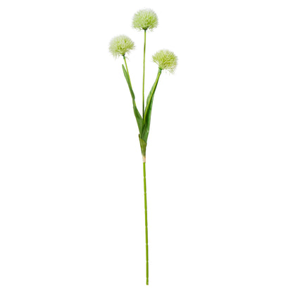 Faux Dandy Spray | Cream - 66cm