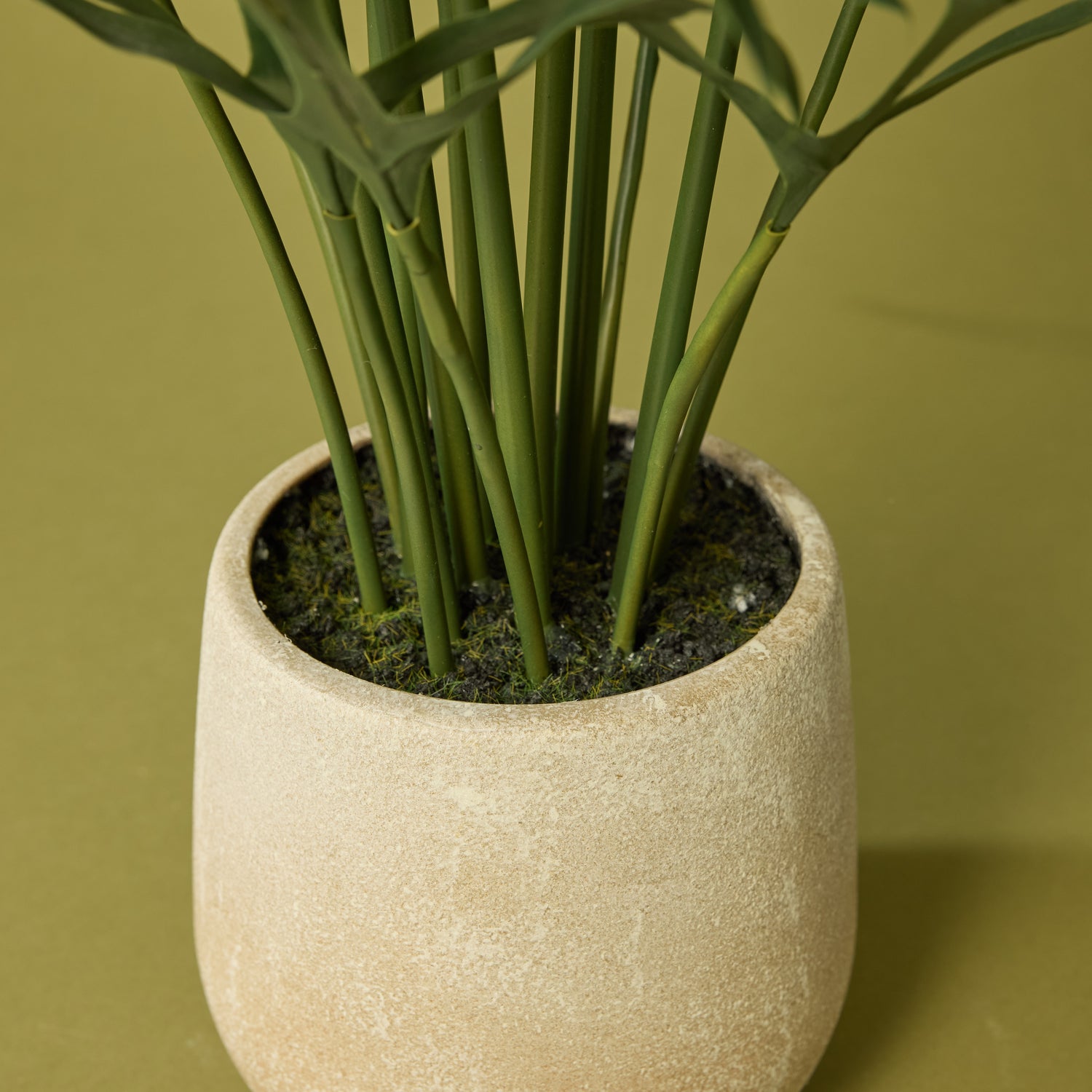Faux Blue Star Fern Pot | Green - 81cm