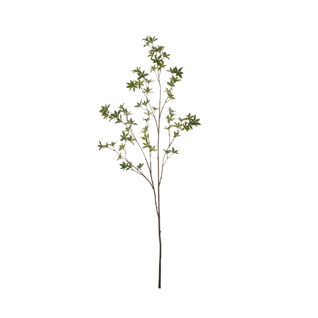 Rogue Azalea Spray Green
