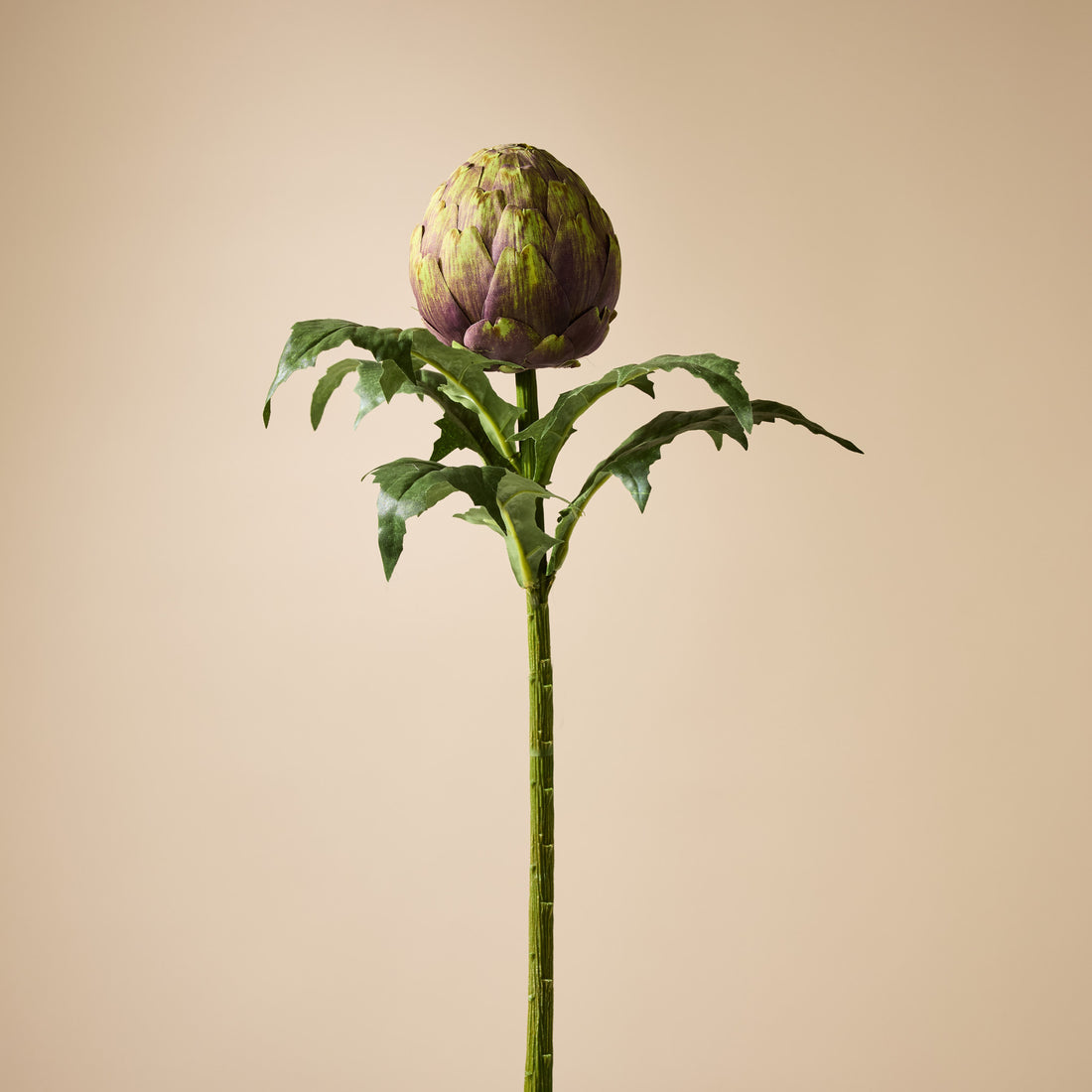 Faux Artichoke Stem | 64cm