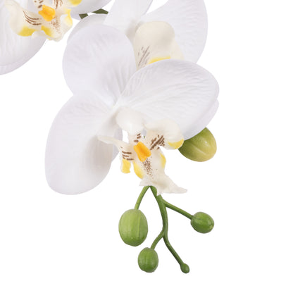 Faux Phalaenopsis Orchid - Cream Pot | 48cm