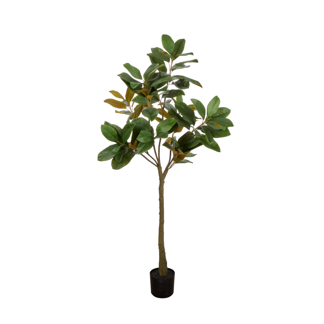 Faux Magnolia Tree Pot | Green -  150cm