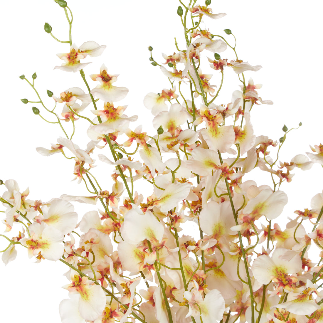 Faux Dancing Orchids -  Rachel Vase | Cream - 57cm