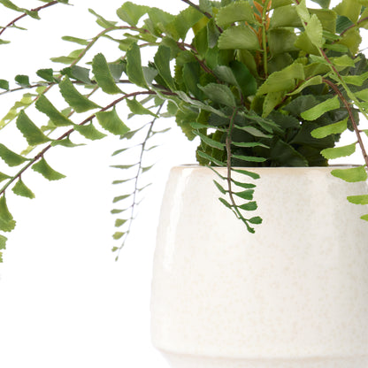 Faux Jewel Fern - Gianna Pot | White - 24cm