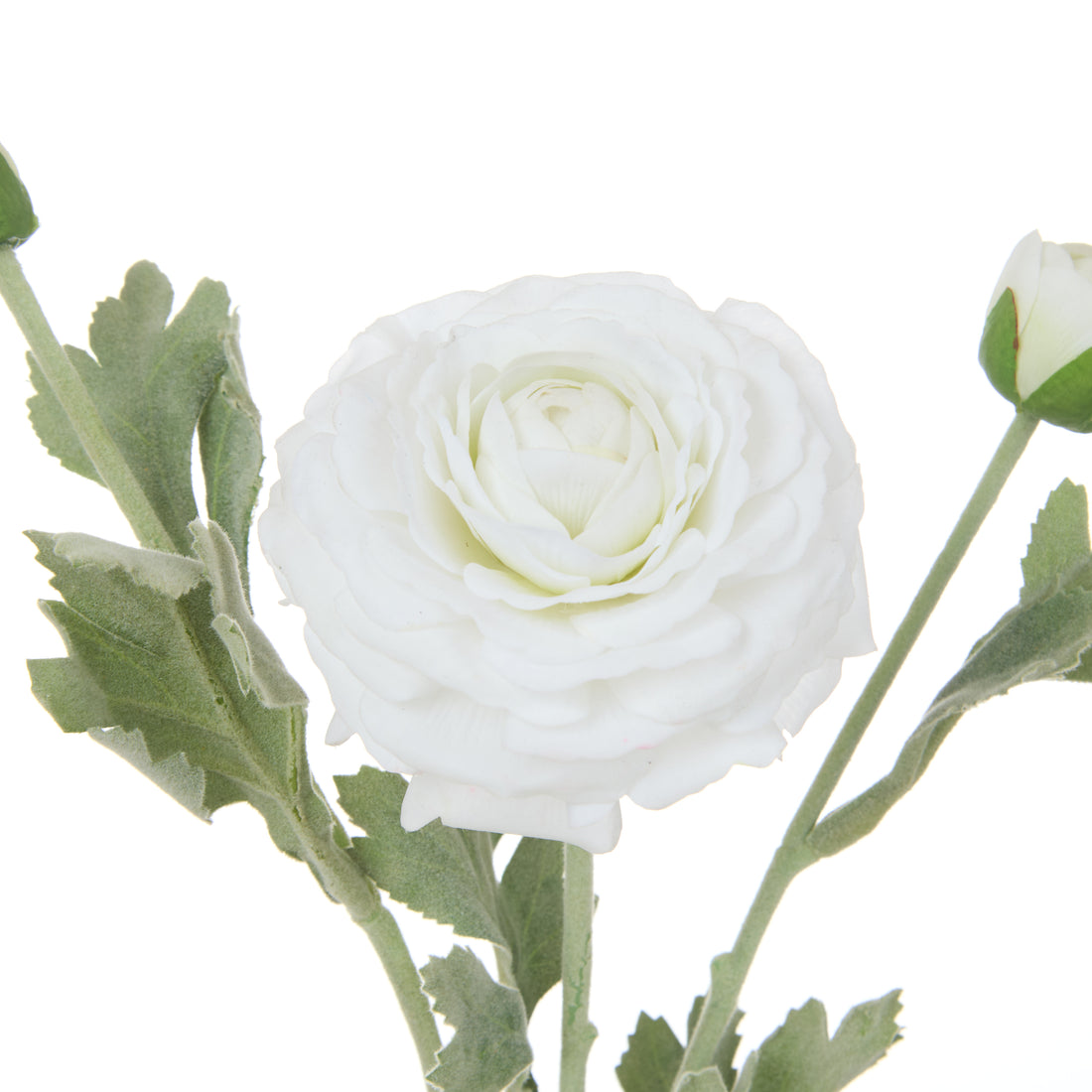 Rogue Ranunculus Real Touch Spray White