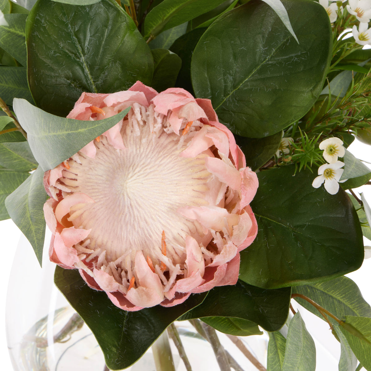 Rogue Grand Protea - Garden Vase Pink