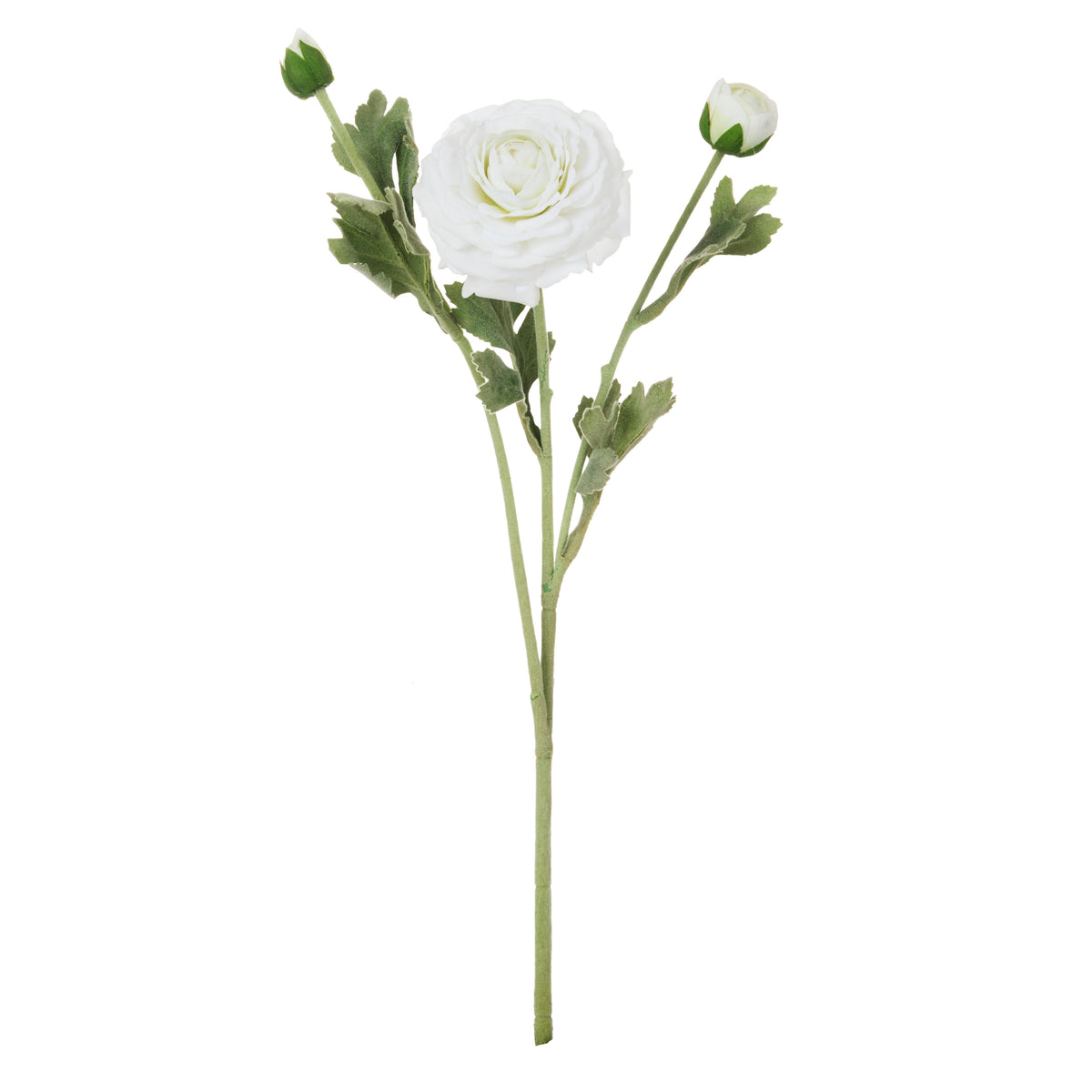 Rogue Ranunculus Real Touch Spray White