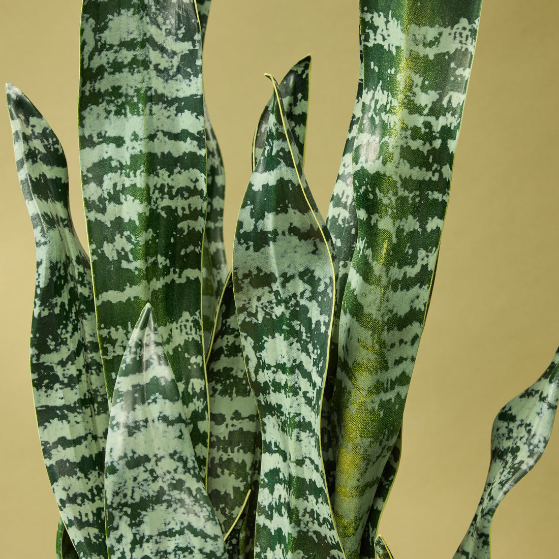 Faux Sansevieria Plant - Garden Pot | 91cm