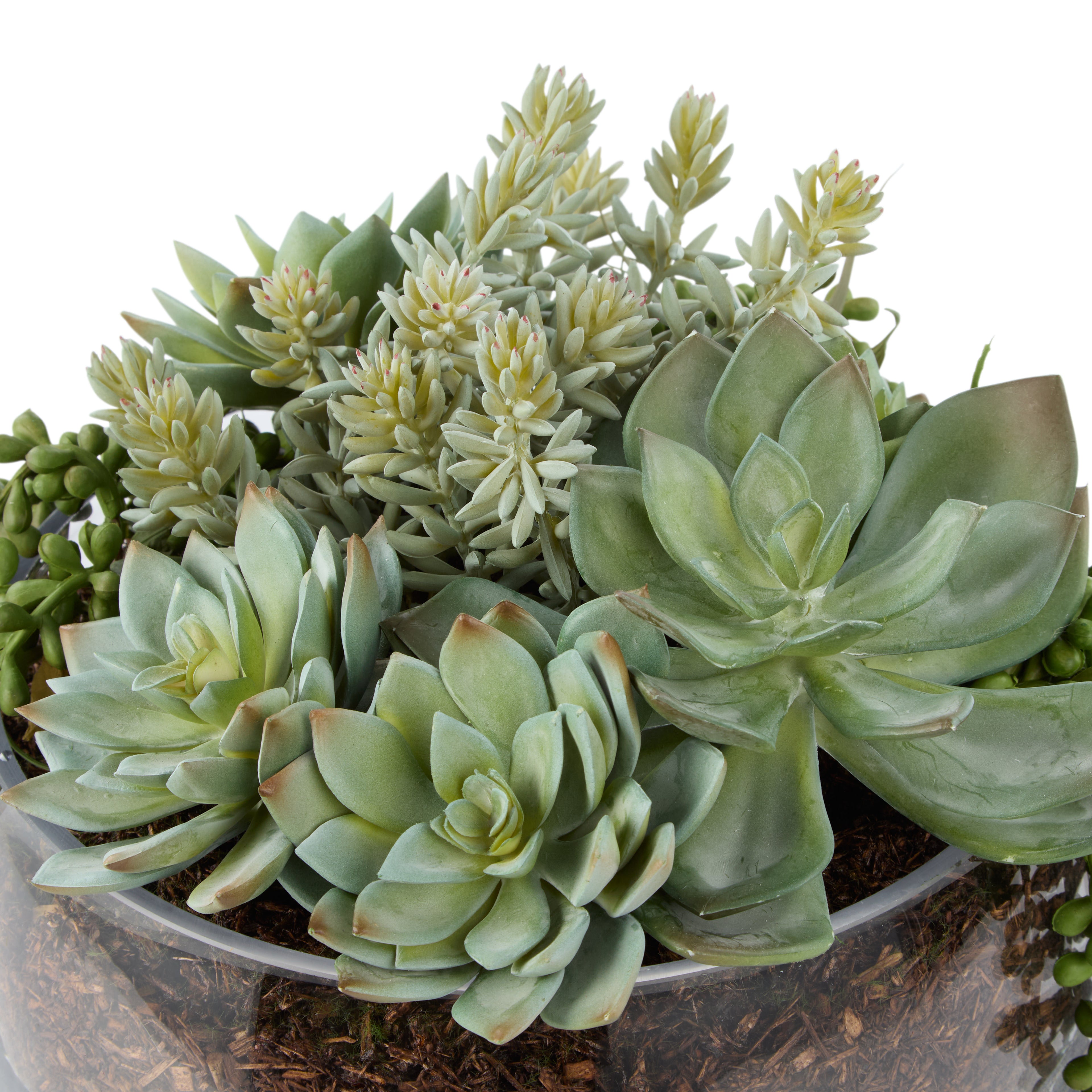 Faux Succulent Mix - Scarlett Bowl | 34cm