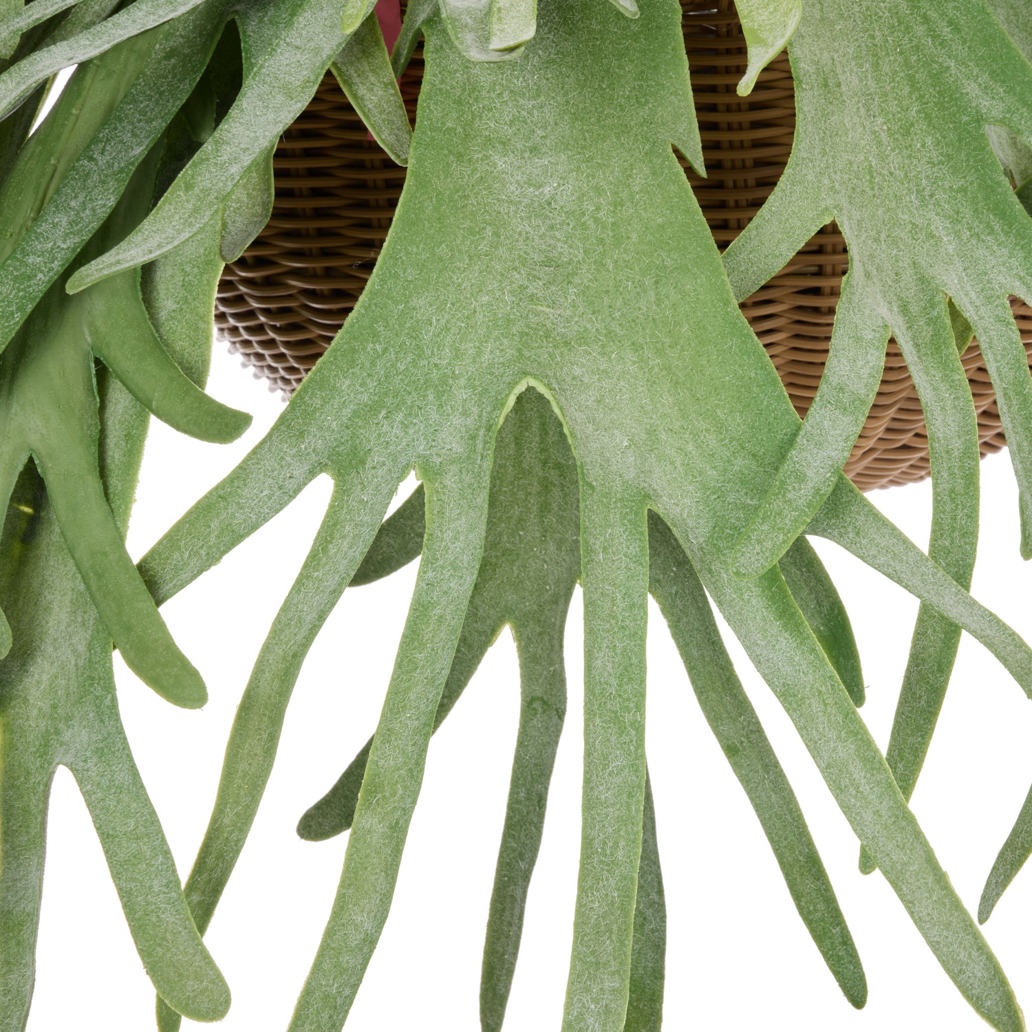 Faux Staghorn - Laos Hanging | Green -  100cm