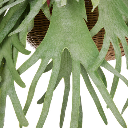 Faux Staghorn - Laos Hanging | Green -  100cm