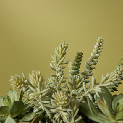 Faux Succulent Garden - Lyon Bowl Planter | Grey - 27cm