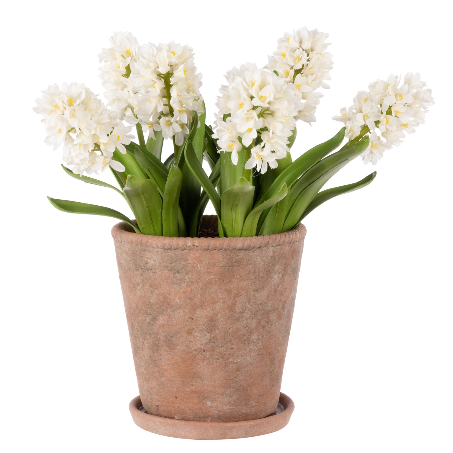 Faux Hyacinth Plant – Chinon Pot | 47cm