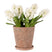Faux Hyacinth Plant – Chinon Pot | 47cm