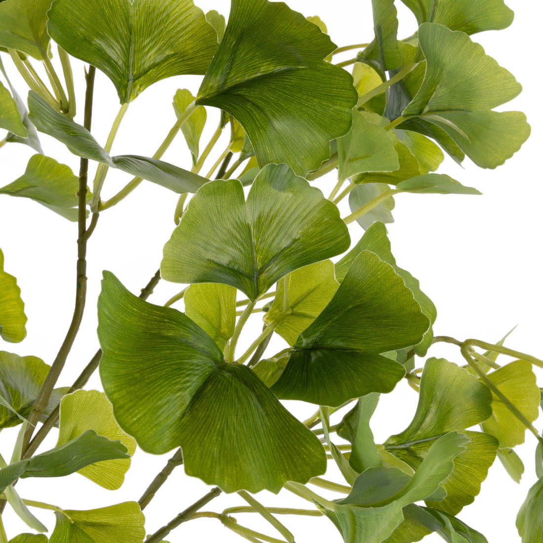 Faux Gingko Mix - Neven Vase | Green - 73cm