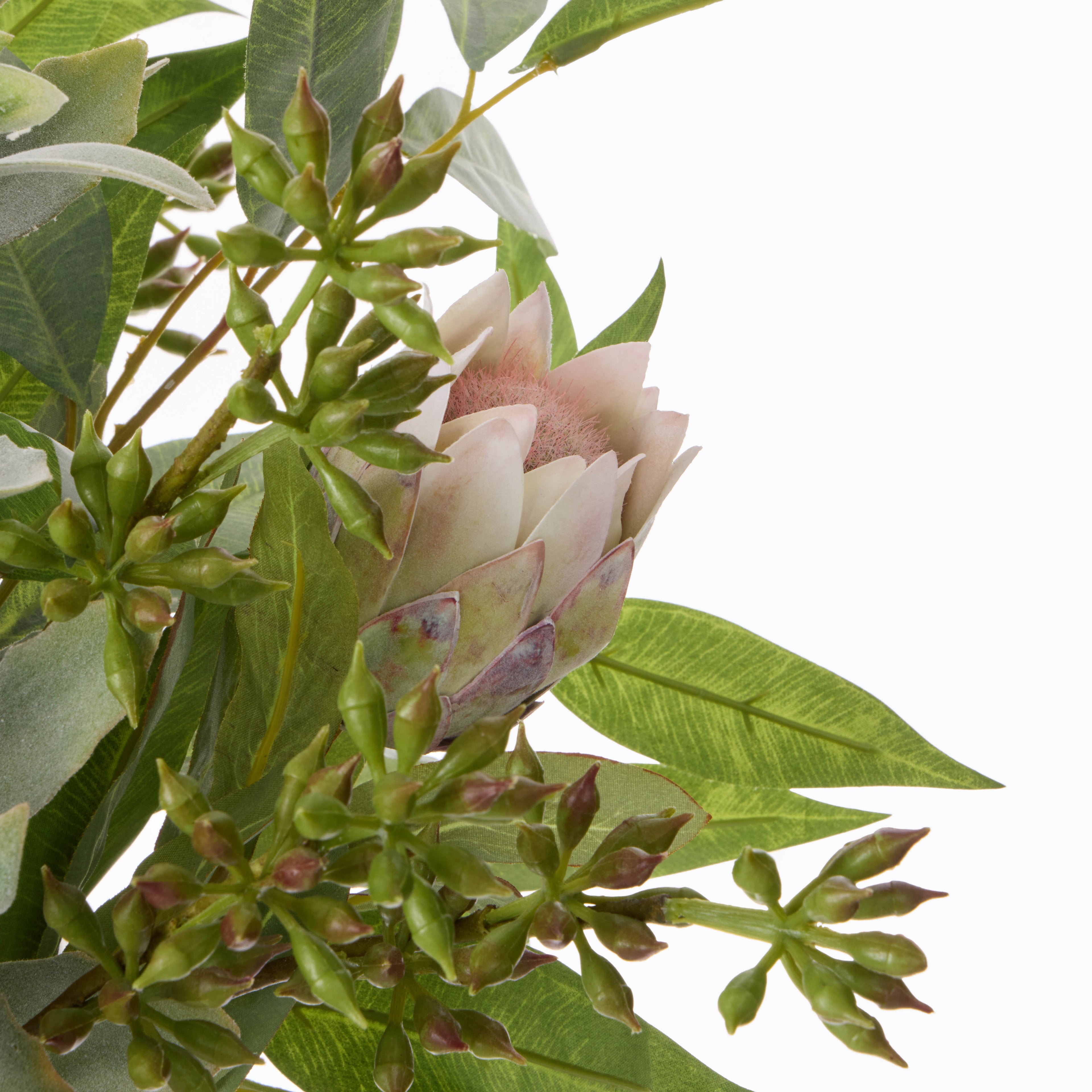 Faux Australis Protea Eucalyptus Mix - Maliah Pot | 58cm