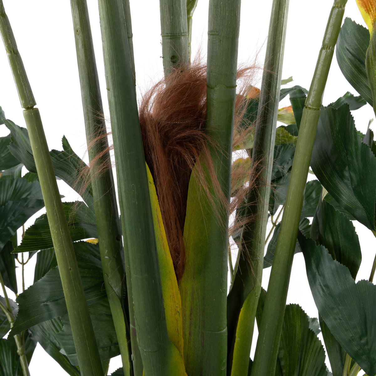 Rogue Caryota Palm - Ryker Planter Green