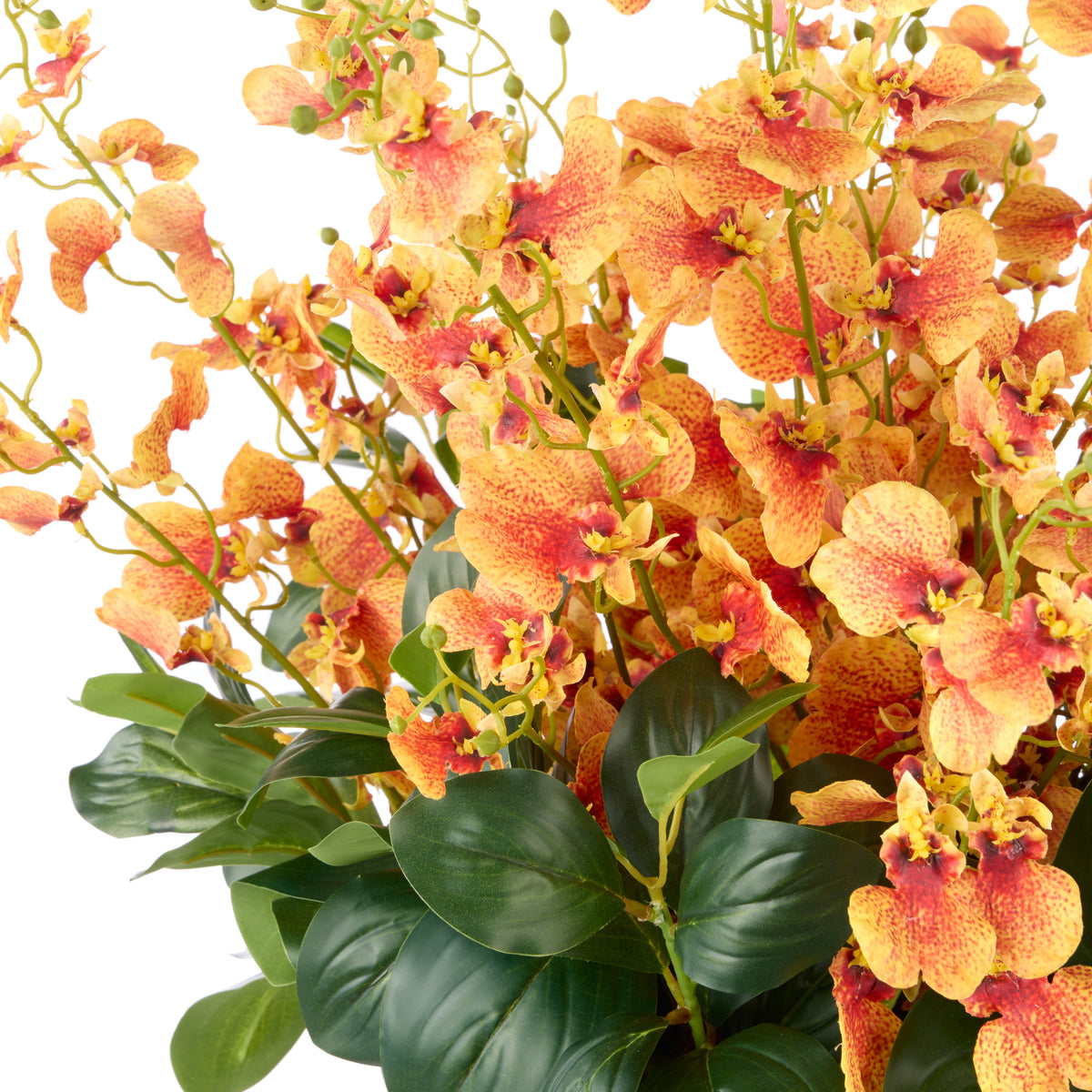 Rogue Dancing Orchid - Smalll Madelyn Bowl Orange