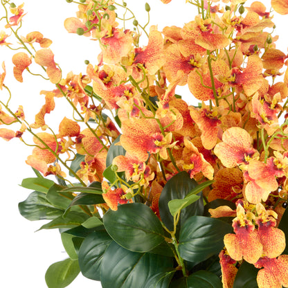 Rogue Dancing Orchid - Smalll Madelyn Bowl Orange