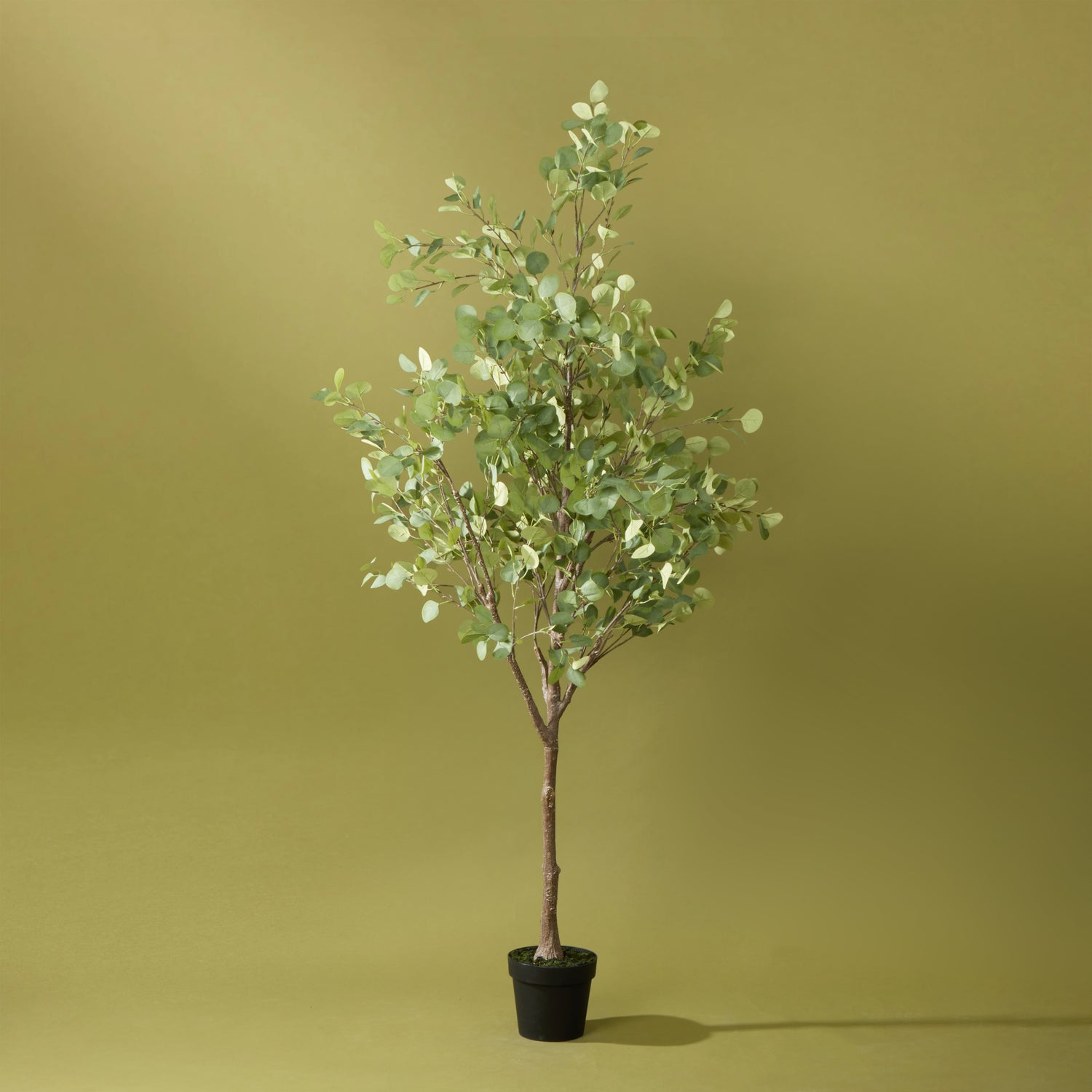 Faux Eucalyptus Tree Garden Pot | 185cm