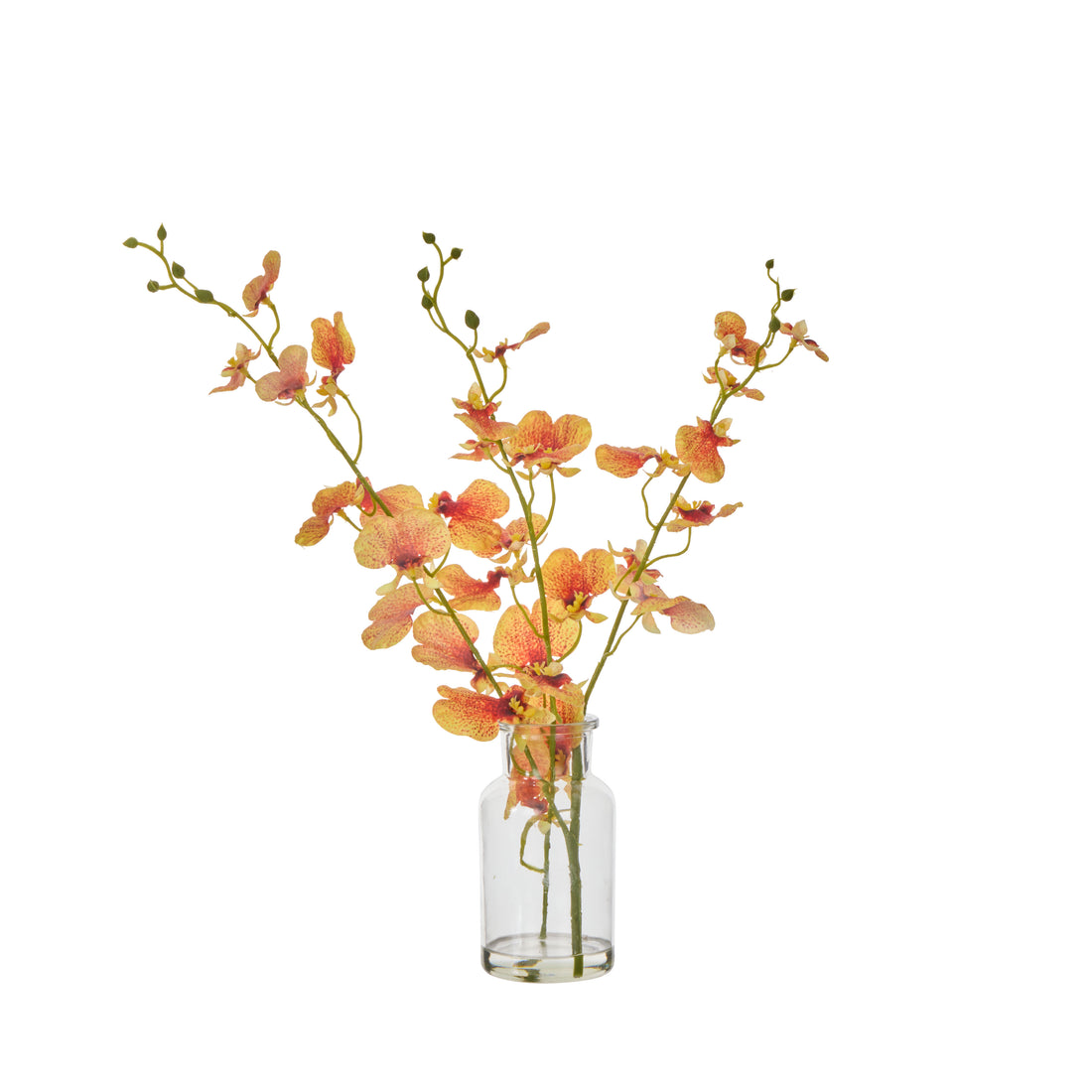 Faux Dancing Orchid - Specimen Bottle | Orange -  36cm