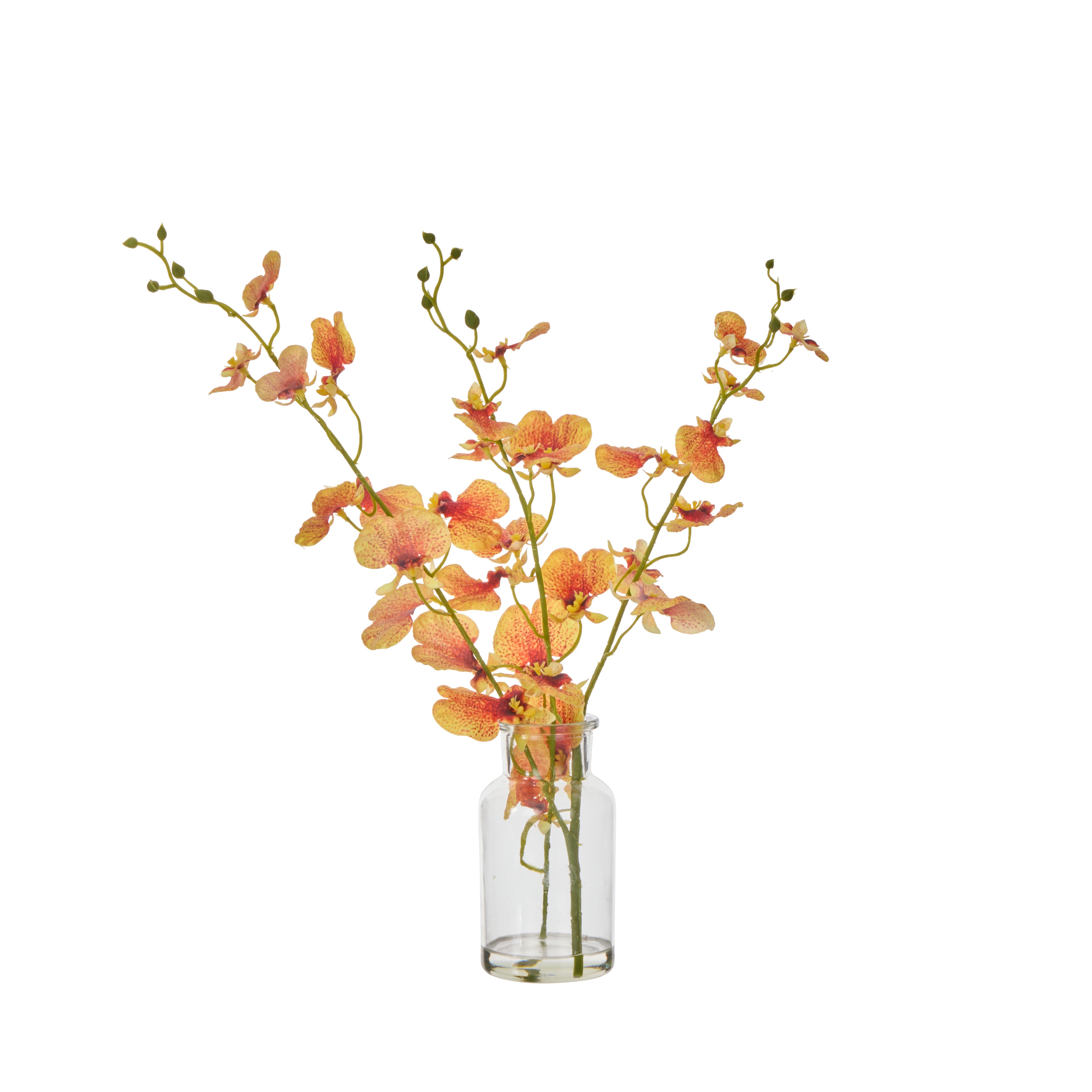 Faux Dancing Orchid - Specimen Bottle | Orange -  36cm