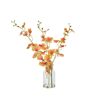Faux Dancing Orchid - Specimen Bottle | Orange -  36cm