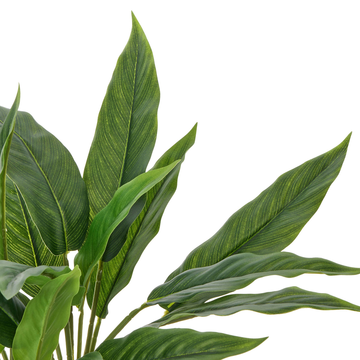 Rogue Sacred Lily Pot Green