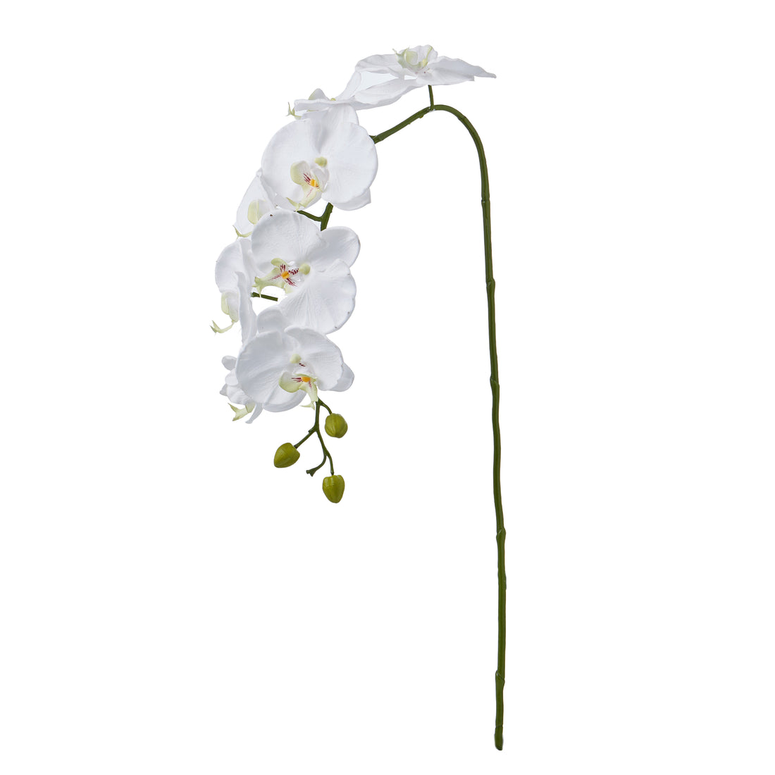 Faux Phalaenopsis Orchid Spray | White - 102cm