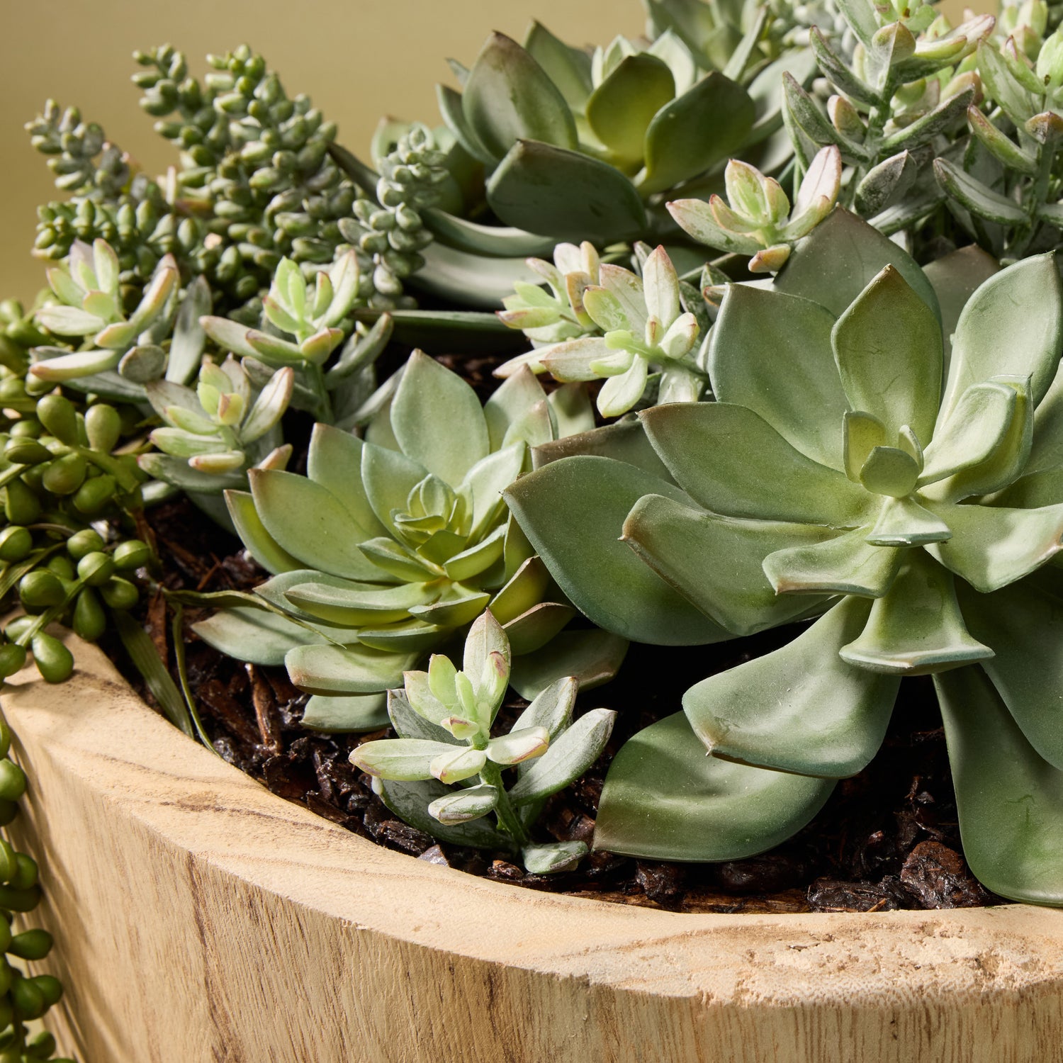 succulent pots australia Artificial Succulent Garden - Dansk Bowl | 45cm