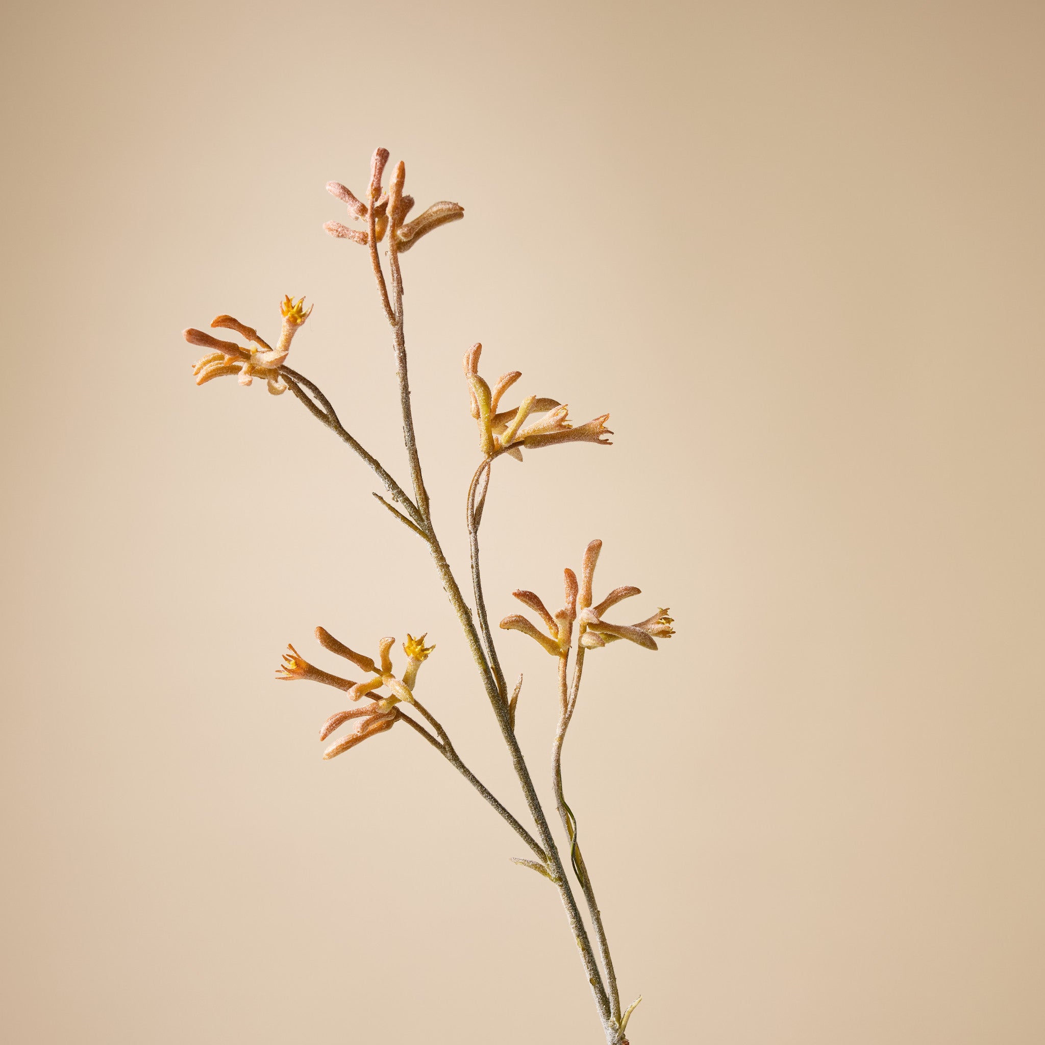 Faux Kangaroo Paw Spray | Yellow - 84cm