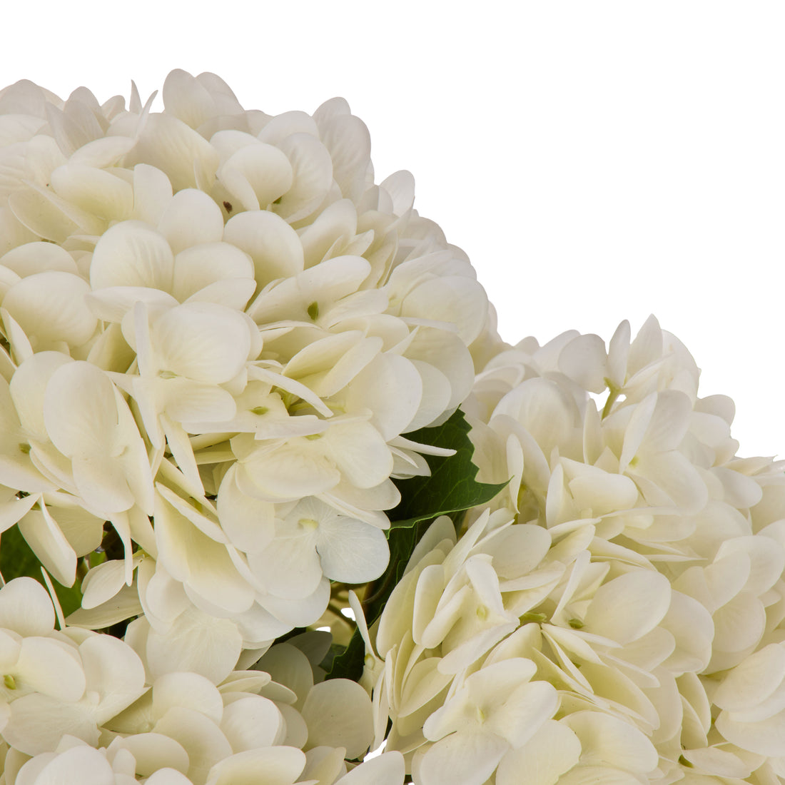 Faux Hydrangea Twig - Elise Vase | White -  67cm