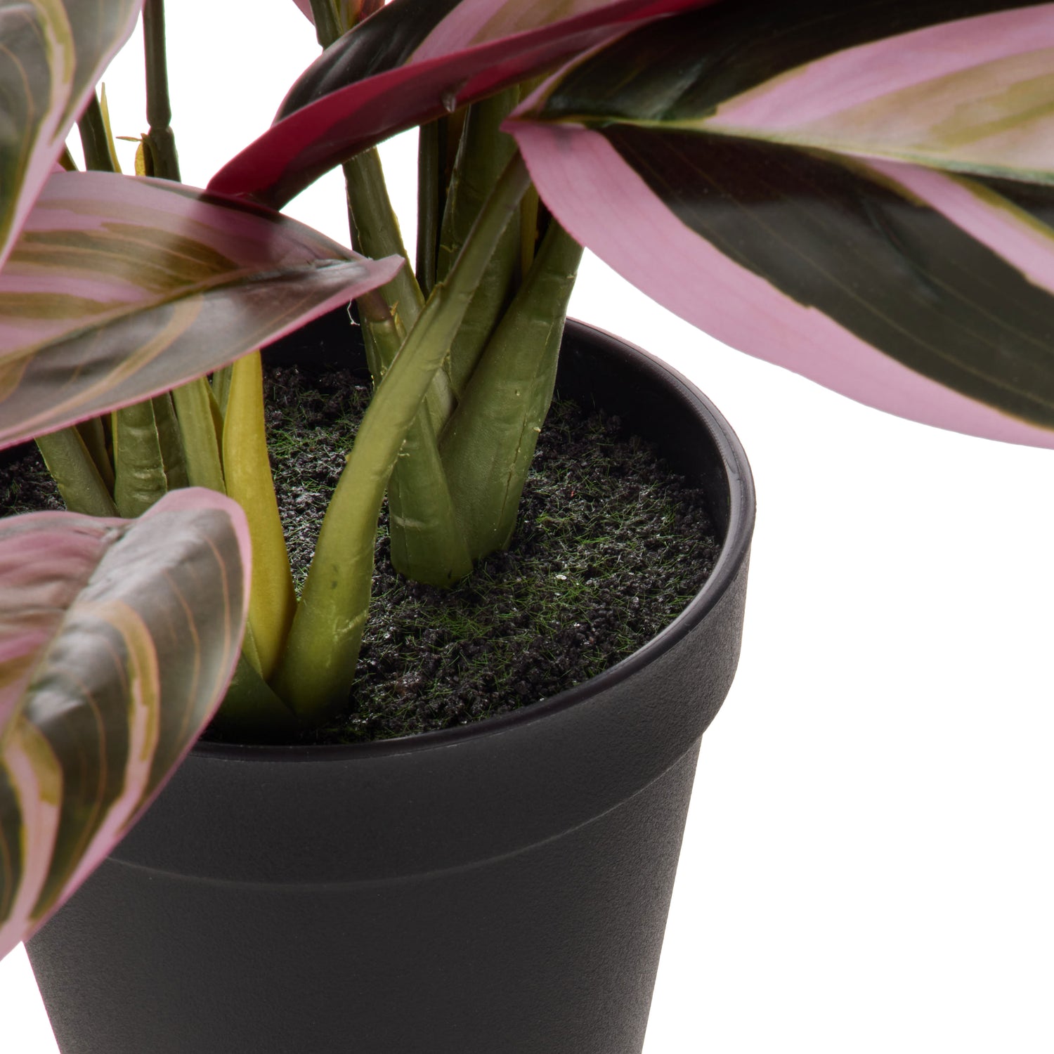 Faux Cordyline Plant | Burgundy  -  39cm