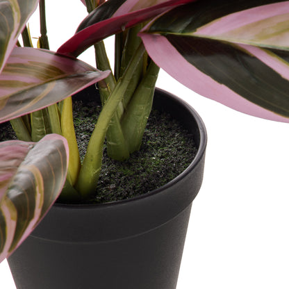Faux Cordyline Plant | Burgundy  -  39cm
