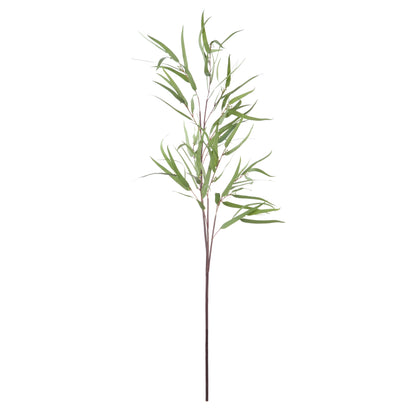 Rogue Eucalyptus Spray Green