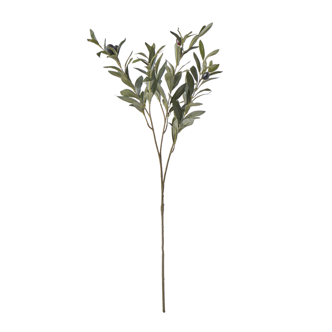 Rogue Olive Spray Green