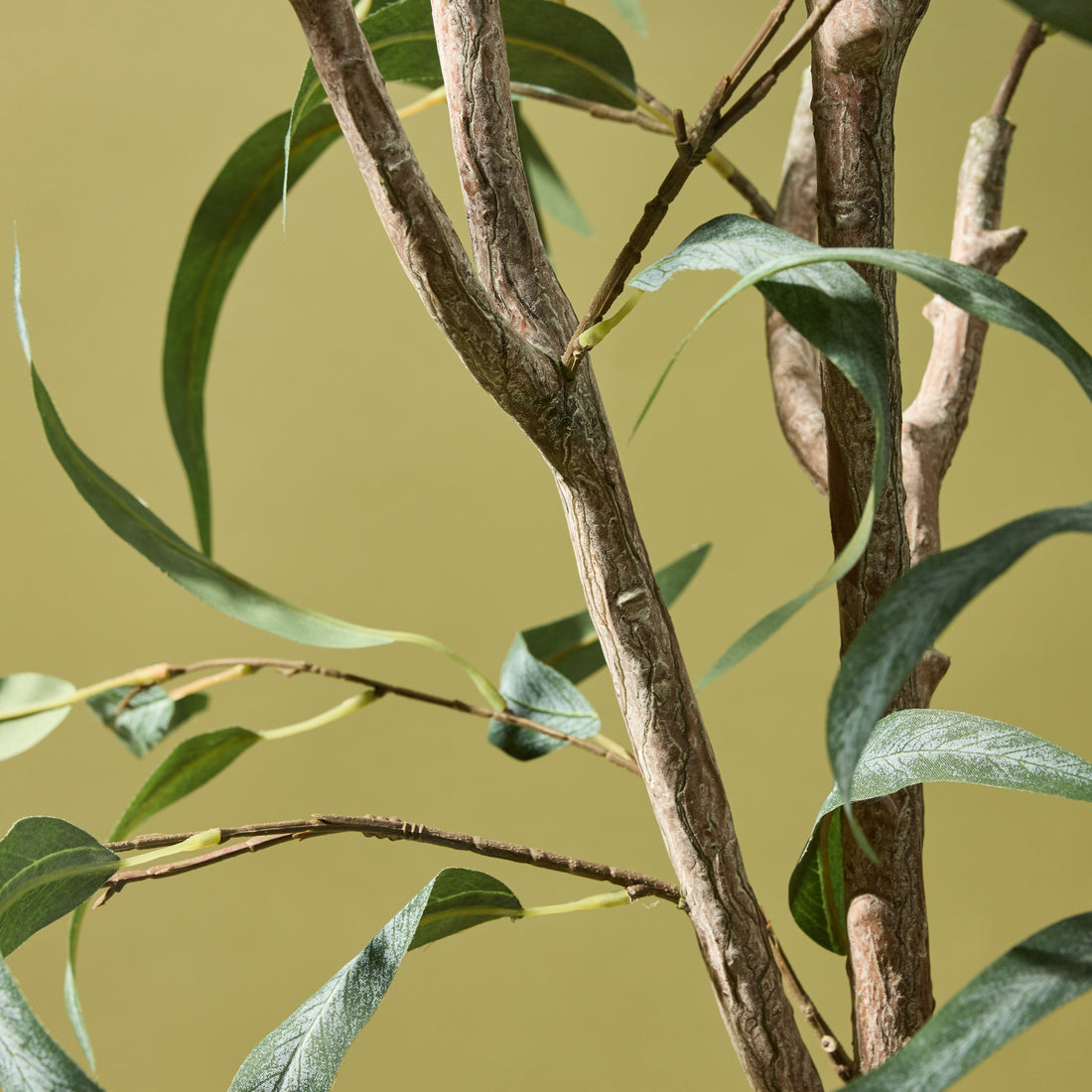 Faux Eucalyptus Willow Tree | 184cm