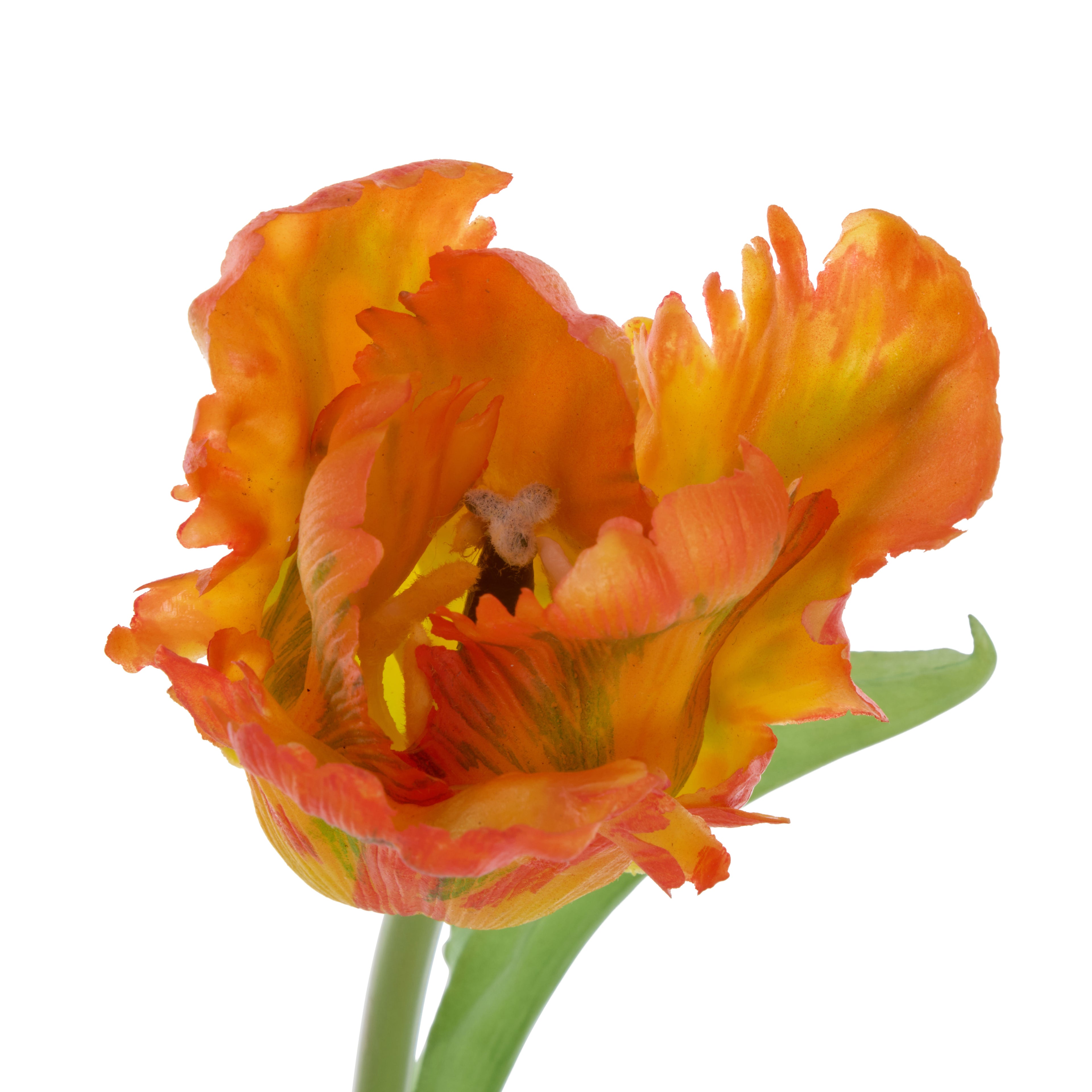 Faux Parrot Tulip Stem | Orange - 48cm