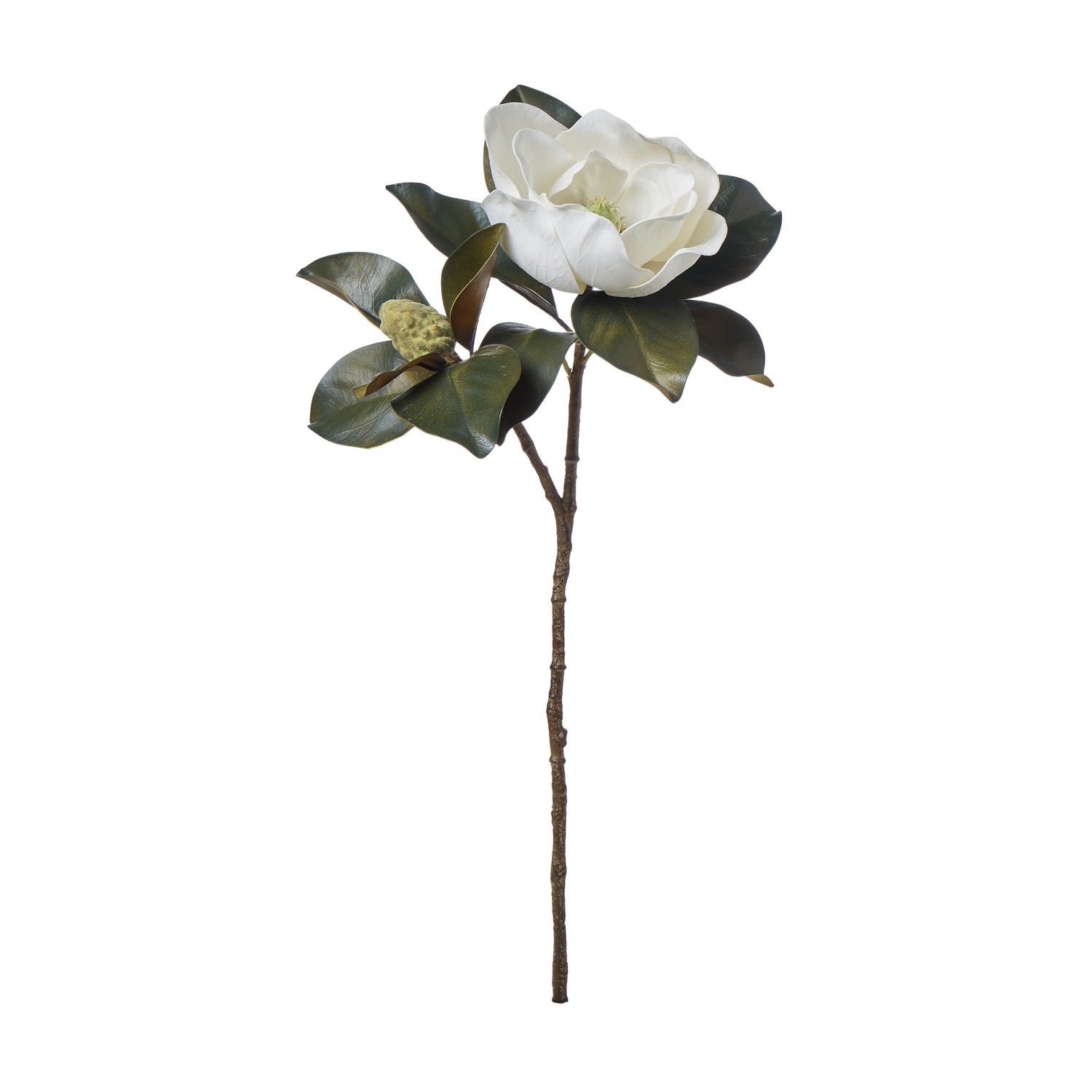 Faux Magnolia Grandiflora Stem | White - 66cm