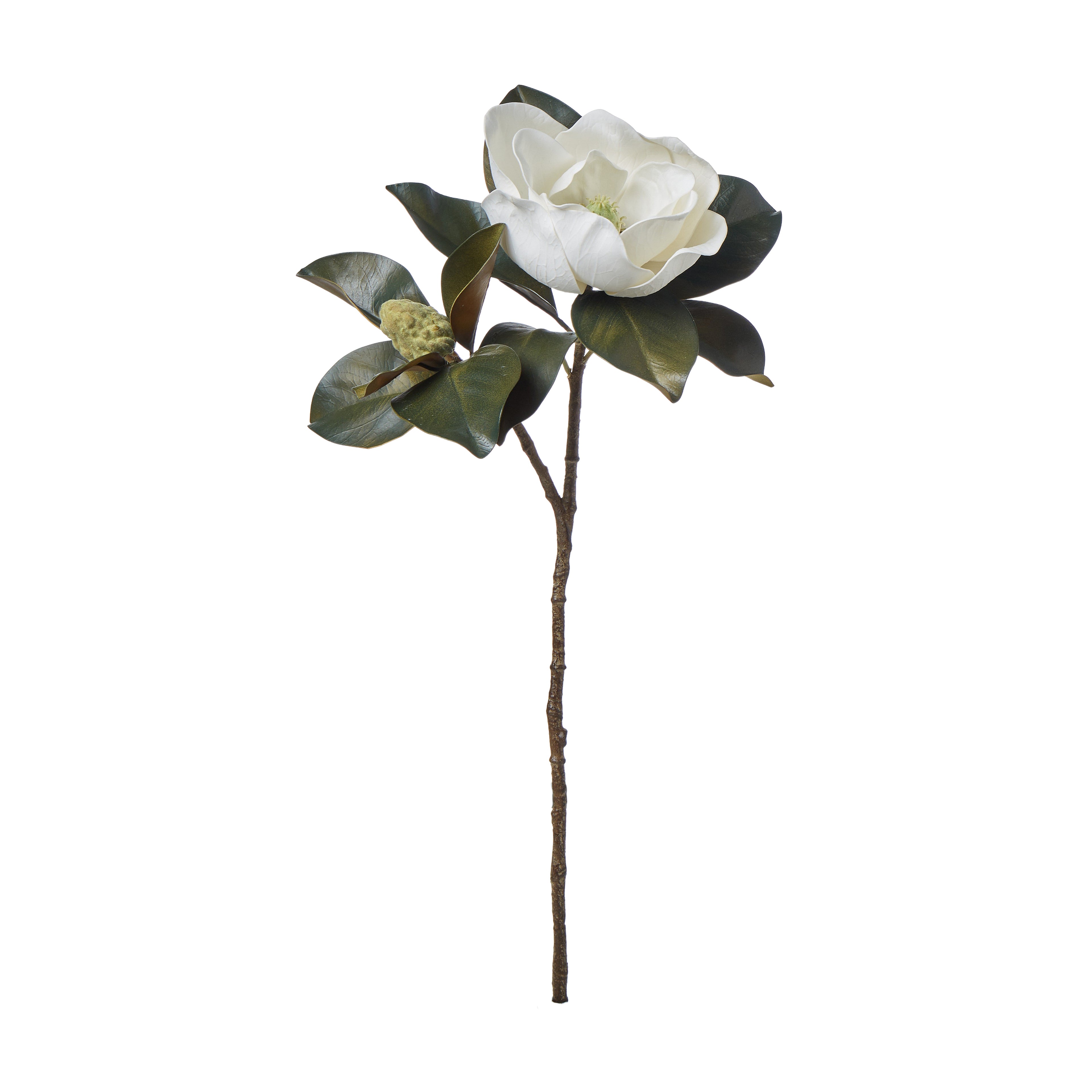 Faux Magnolia Grandiflora Stem | White - 66cm