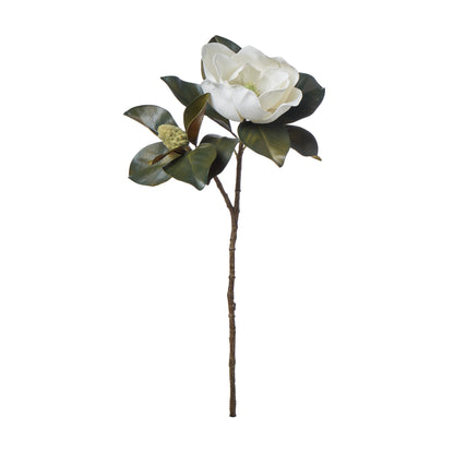 Faux Magnolia Grandiflora Stem | White - 66cm