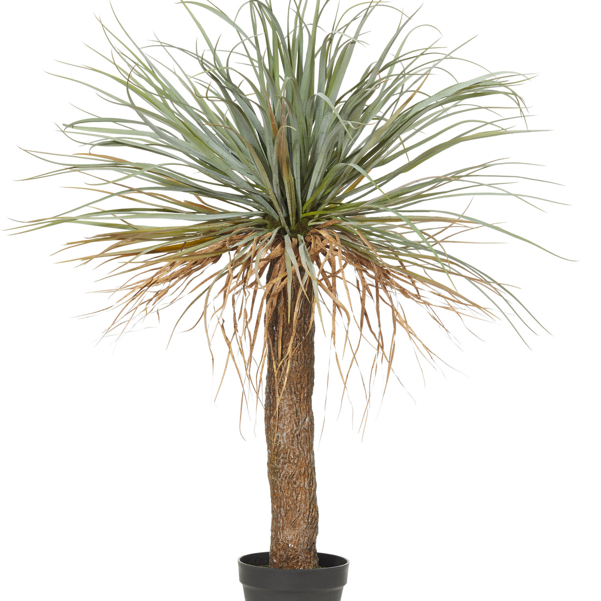 Rogue Grass Tree Green