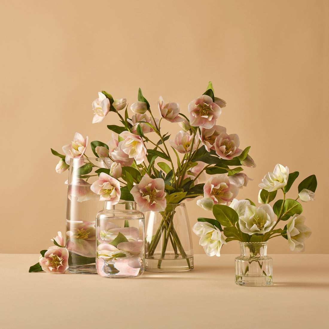 Rogue Helleborus - Glass Vase Pink