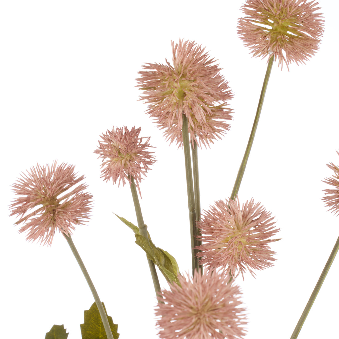 Rogue Pompom Spray Mauve