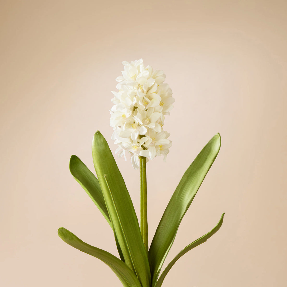 Faux Hyacinth with Leaves | White - 33cm