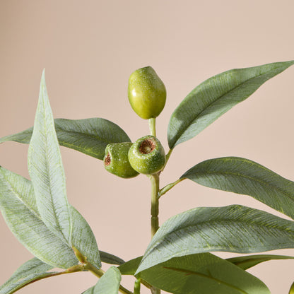 Faux Eucalyptus Gumnut Spray | Green - 79cm