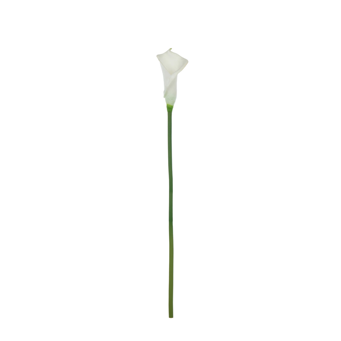 Faux Calla Lily Stem | White - 64cm