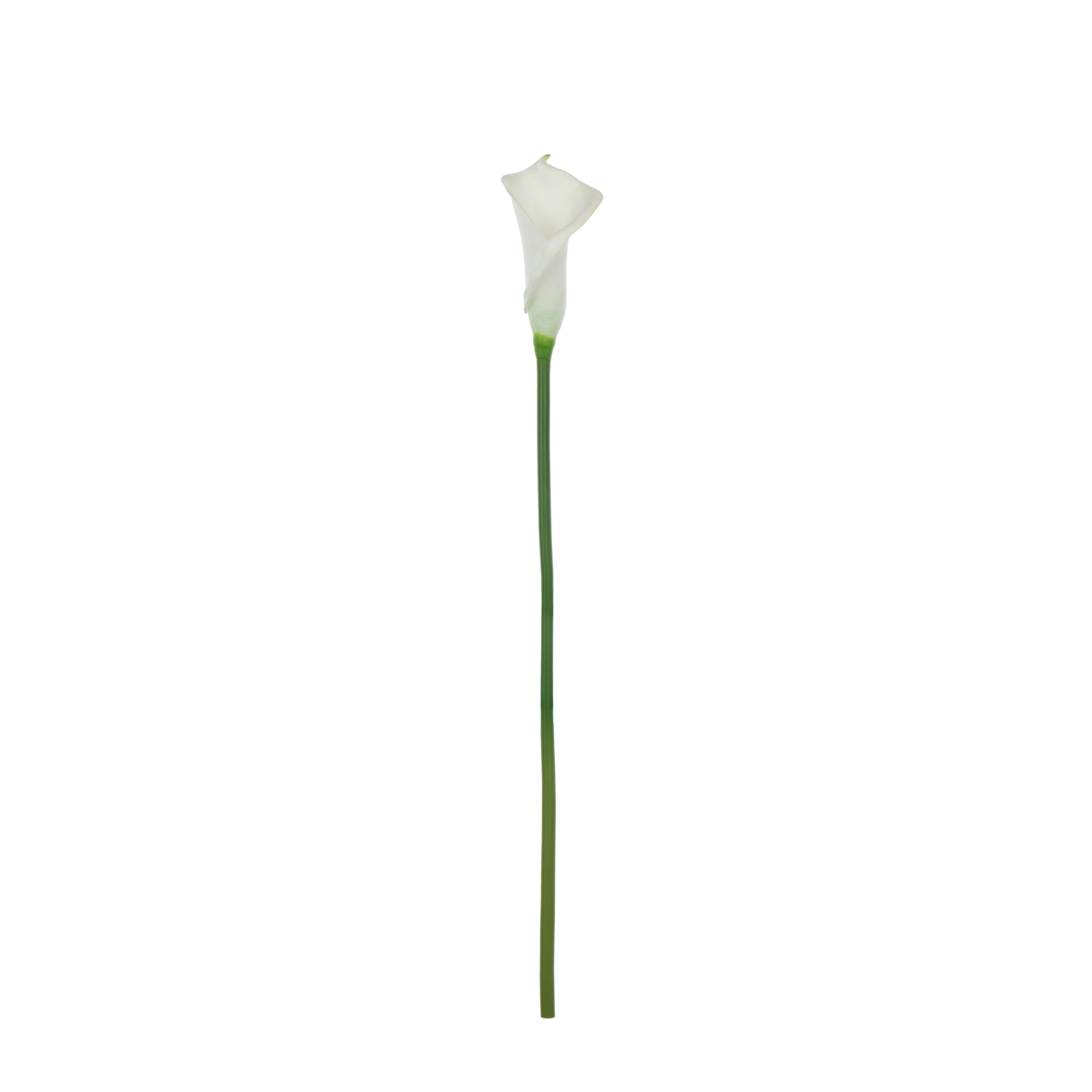 Faux Calla Lily Stem | White - 64cm