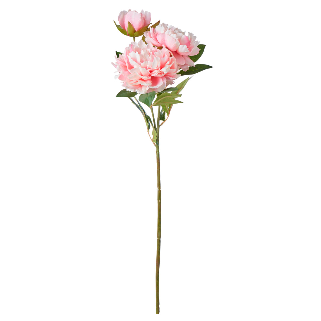 Faux Peony Stem | Pink - 76cm