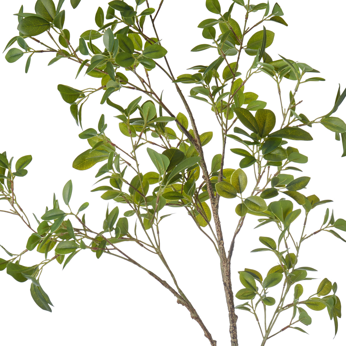 Rogue Mini Leaf Branch Green